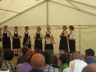 Kanomeljske punce (D2530)