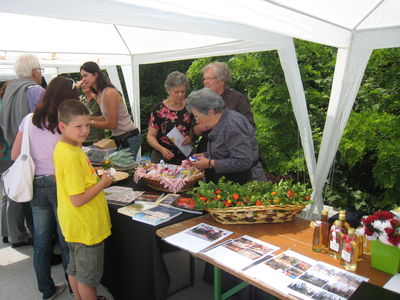 Stojnica Slovenskega kulturnega društva Grad - Bani (D2502)