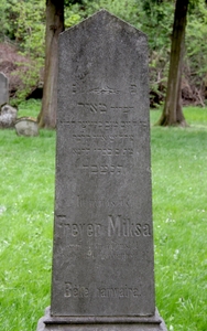 Itt nyugszik
<br />Freyer Miksa
<br />szül. 1868 május 11.
<br />megh. 1890 november 14.
<br />
<br />Béke hamvaira!