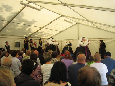 Folklorna skupina Kraški šopek (D2525)
