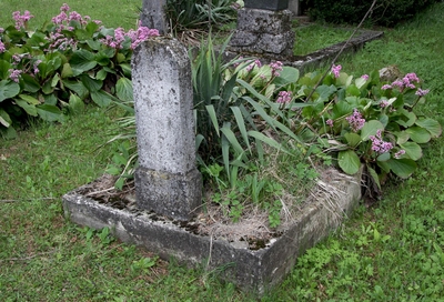 Stern Davidné
<br />1865-1933